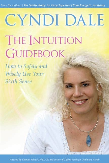IntuitionGuideBook