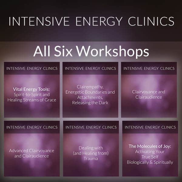 product-image-intensive-energy-clinics-allsix